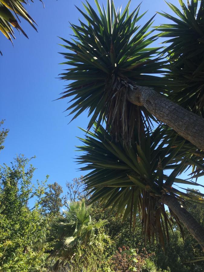 Apartamento Little Treasure With Up To 25 Percent Off Ferry Shanklin Exterior foto